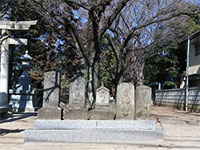 旭氷川神社庚申塔