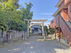 神米金八雲神社鳥居