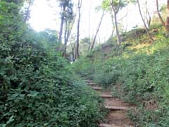 滝の城跡
