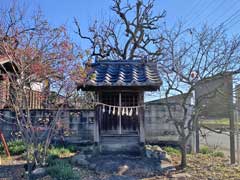 塚田三嶋神社境内社浅間神社