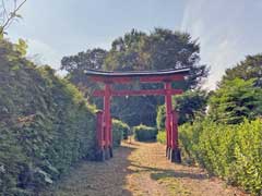 城山稲荷神社鳥居