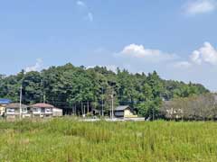 小被神社社叢