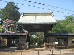 豪徳寺山門