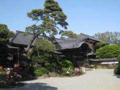 豪徳寺書院