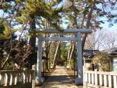 船橋神明神社鳥居