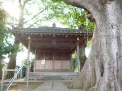 喜多見須賀神社社殿