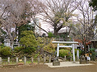 鳩森八幡神社富士塚