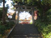 居木神社鳥居