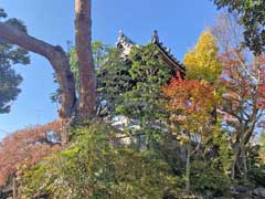 養玉院如来寺鐘楼