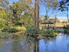 おとめ山公園下の池・四阿