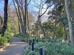 おとめ山公園芝斜面