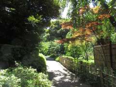 清水家下屋敷跡（甘泉園）歩道