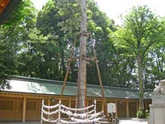 荻窪八幡神社道灌槇