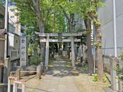 荻窪白山神社鳥居