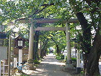 田端神社鳥居