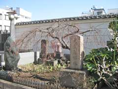 要津寺芭蕉翁俤塚