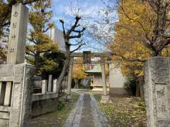 白鬚神社鳥居