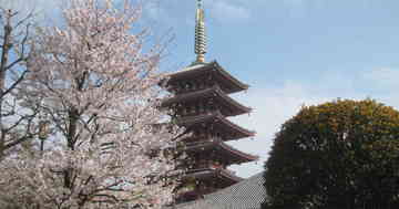 金龍山浅草寺