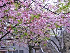 元三島神社境内