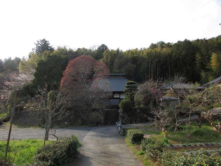 松岩寺