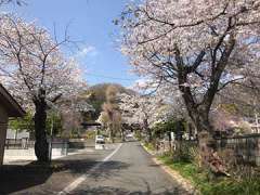 宝蔵寺参道