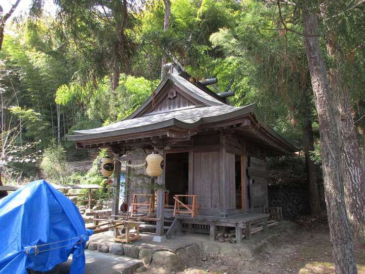 折立八雲神社