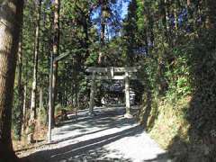 横沢愛宕神社鳥居