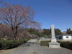 真城寺参道