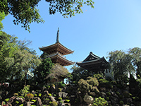 円福寺鐘楼堂と三重塔