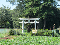 上組稲荷神社鳥居