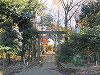 大岱稲荷神社鳥居