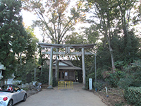 阿蘇神社鳥居