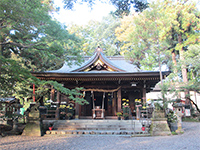 阿蘇神社社殿