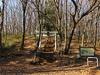 人見浅間神社鳥居