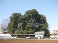 人見稲荷神社外観