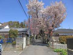 元八王子八幡神社参道