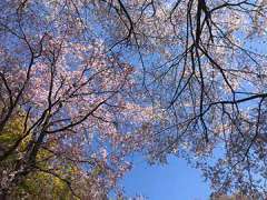 下恩方熊野神社神楽殿