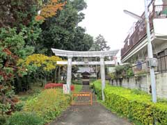 埼玉神社鳥居