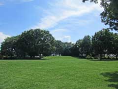 椚田公園芝生の丘ゾーン