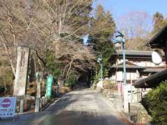 薬王院参道