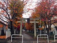 日野宮神社鳥居