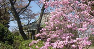 第３１番岩船山高勝寺