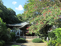 国分寺