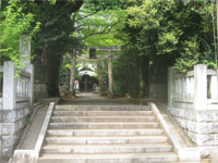 小金井神社参道