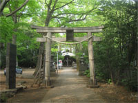 小金井神社鳥居