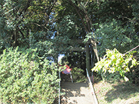 八幡神社鳥居