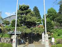 つくし野杉山神社鳥居