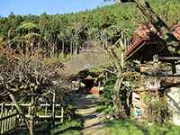 雲慶院