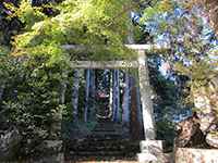 秋波神社鳥居