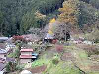 黒沢秋葉神社外観